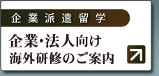 ��ƁE�@�l�����C�O���C�̂��ē�